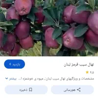کارگر برای باغ سیب