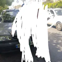 پراید 141 آخر 87