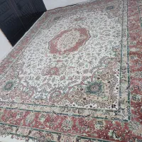 فرش 12 متری|فرش|شهر ری, دیلمان|دیوار