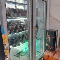 یخجال ویترینی