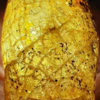 کهربای زیبا|کلکسیون اشیاء عتیقه|دلیجان, |دیوار