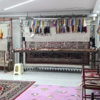 بافنده ماهر فرش