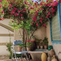 رهن واجاره