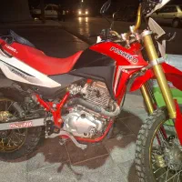 تریل تلر ۲۵۰ پیشرو گلد