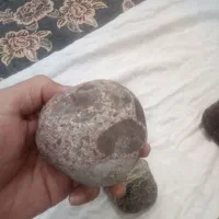 برای فروش شهاب سنگ ۵عدد|کلکسیون اشیاء عتیقه|زاوه, |دیوار