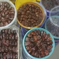 خرما ب قیمت عمده