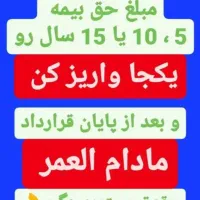 صدور بیمه تکمیلی انفرادی و بیمه طرح بازنشستگی|خدمات مالی، حسابداری، بیمه|اهواز, نادری|دیوار