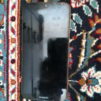 هاوایی y6