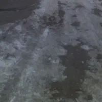 زمین دام داری