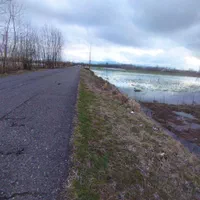 زمین یک هکتارشالیزارسنتی براصلی خیابان متری۳۵۰هزار|فروش دفتر صنعتی، کشاورزی، تجاری|لاهیجان, گلستان|دیوار