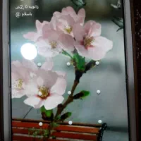 گوشی سامسونگ