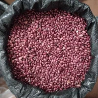 لوبیا قرمز تازه|خوردنی و آشامیدنی|ویلکیج, |دیوار