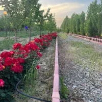 باغ دوممر گوهردشت