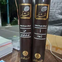 لغت‌نامه دهخدا آ و س، فرهنگ متوسط دهخدا|کتاب و مجله تاریخی|تهران, فلسطین (میدان انقلاب)|دیوار