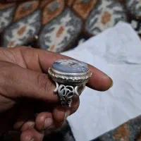 انگشتر شجر|جواهرات|ارومیه, |دیوار