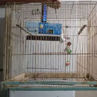 قفسه پرنده