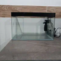 آکواریوم خم شرکتی
