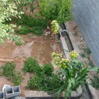 باغ در شهر نیر زیبای من|فروش خانه و ویلا|نیر (یزد), |دیوار