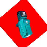 یک اسب جت ایتالیایی انشی جنس درجه یک و با کیفیت