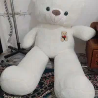 فروش خرس شاسخین