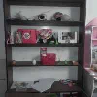 کمد کتابخانه|کتابخانه، شلف، قفسههای دیواری|شیراز, شهرک گلها|دیوار