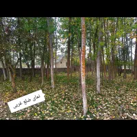 فروش زمین ۲۰۰ متری در کلاردشت|فروش زمین و ملک کلنگی|کلاردشت, |دیوار