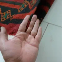 گلیم|گلیم، جاجیم، گبه|تهران, ابوذر|دیوار