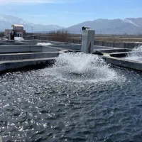 کارگری و سرایداری در پرورش ماهی قزل الا در بازرگان