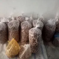 گردوی بوانات|خوردنی و آشامیدنی|شیراز, گلشن|دیوار