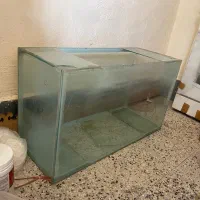 آکواریوم|ماهی|فولادشهر, C5|دیوار