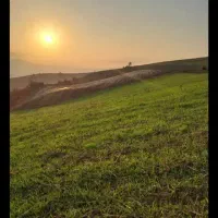 فروش-زمین