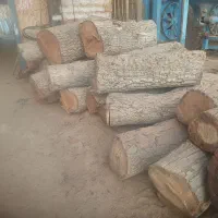 چوب الوار گردو جهت مبلمان ظروف چوبی وسوختنی و سایر