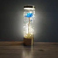 باکس گل شیشه ای  استوانه ای چراغ دار