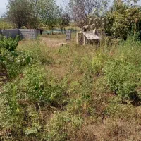 ۲۵۰متر باپروانه ساخت ۹۹متری تحویل گورابزرمیخ|فروش زمین و ملک کلنگی|گوراب زرمیخ, |دیوار