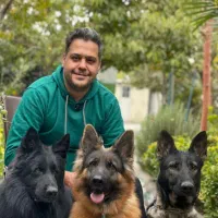 پرورش و اموزش سگ نگهبان و گارد