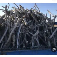 خرید چوب پسته