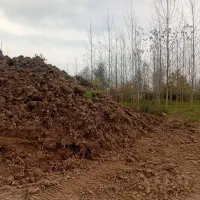 خاک مرغوب باغی|خدمات باغبانی و درختکاری|سنگر, |دیوار