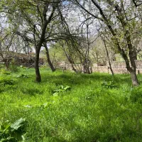 فروش-باغ-میوه-دارای-درخت-40-ساله
