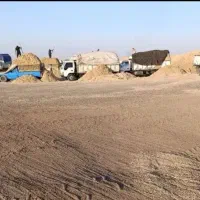 کاه نیشکر جایگزین کاه گندم ارزان و بصرفه|حیوانات مزرعه|آمل, |دیوار