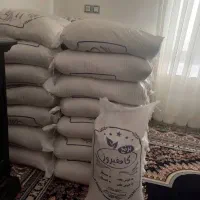 فروش برنج کامفیروزی خوش پخت ومعطر
