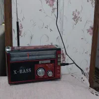 ضبط