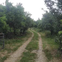 فروش 4000 متر زمین کشاورزی در خشکرود سلیمان آباد