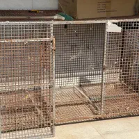 قفس آهنی مرغ و کبوتر|لوازم جانبی حیوانات|خرمشهر, |دیوار