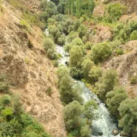 فروش زمین سیاهکله بوستان ۱۵