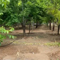 فروش زمین دشت کوه