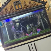 آکواریوم بسیار زیبا