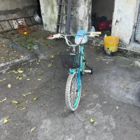 کاملا نو