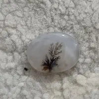 سنگ شجر قاعن|جواهرات|رباط‌کریم, کیکاور|دیوار