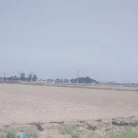 15000 متر زمین کشاورزی