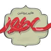 نیروی خدماتی